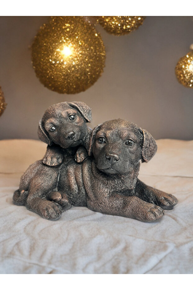 Dekoratif Yavru Köpekler